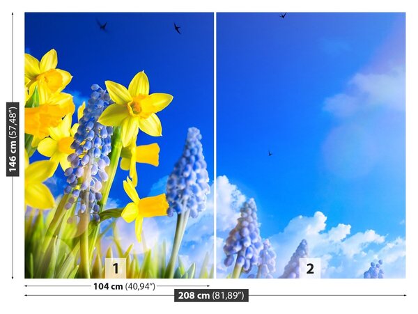 Fototapet Albastru Daffodil