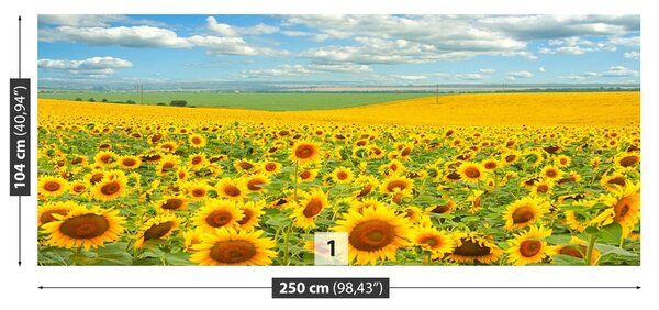 Fototapet Domeniu de Sunflowers