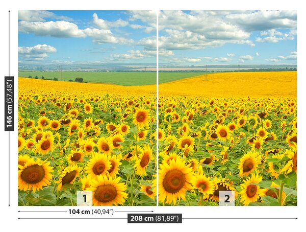 Fototapet Domeniu de Sunflowers