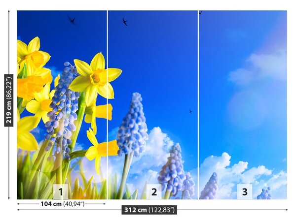 Fototapet Albastru Daffodil