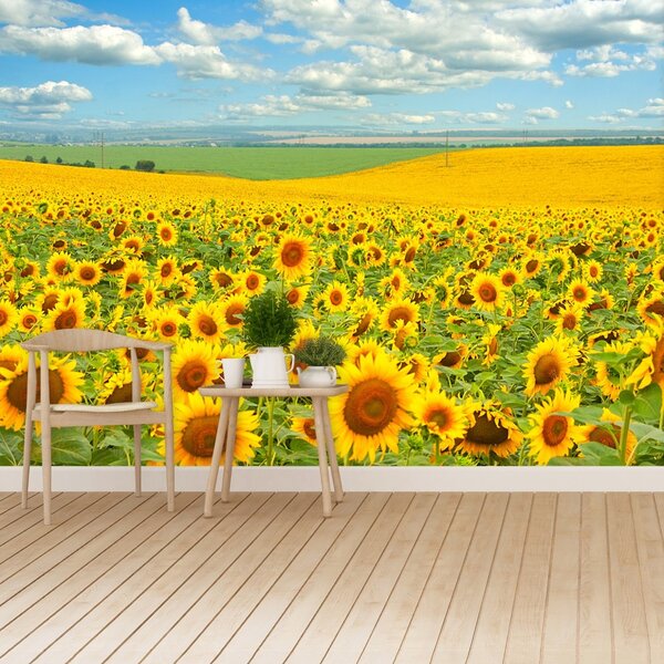 Fototapet Domeniu de Sunflowers