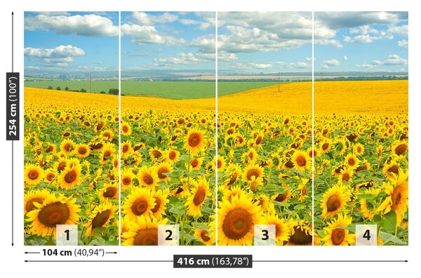 Fototapet Domeniu de Sunflowers