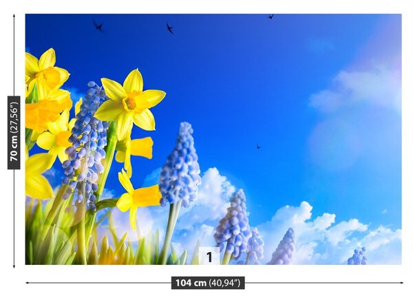 Fototapet Albastru Daffodil
