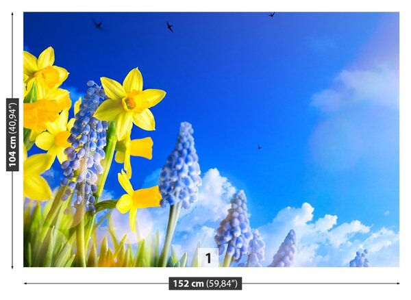 Fototapet Albastru Daffodil