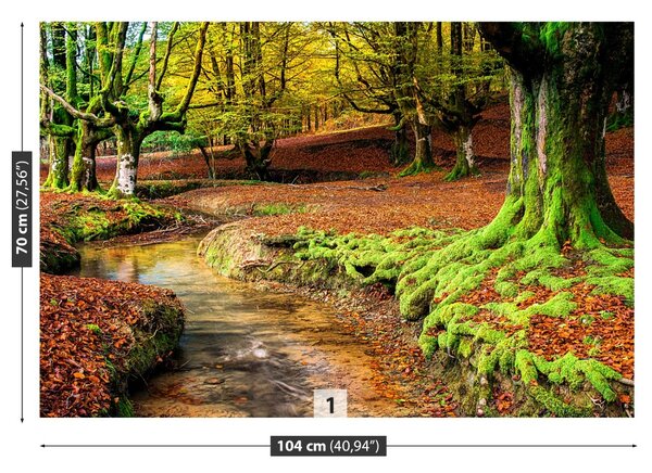 Fototapet Pădure toamna