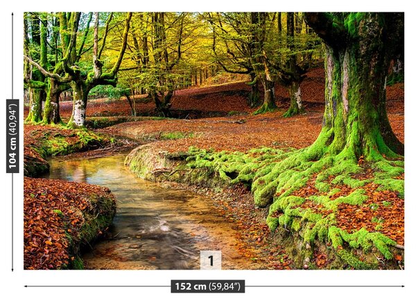 Fototapet Pădure toamna