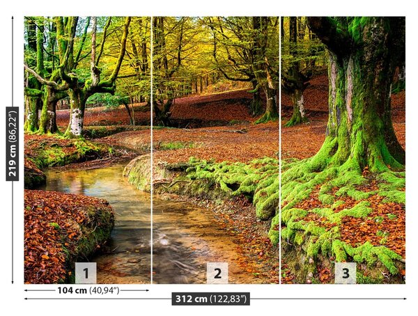 Fototapet Pădure toamna