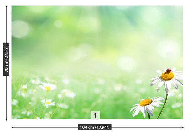 Fototapet Green muşeţel