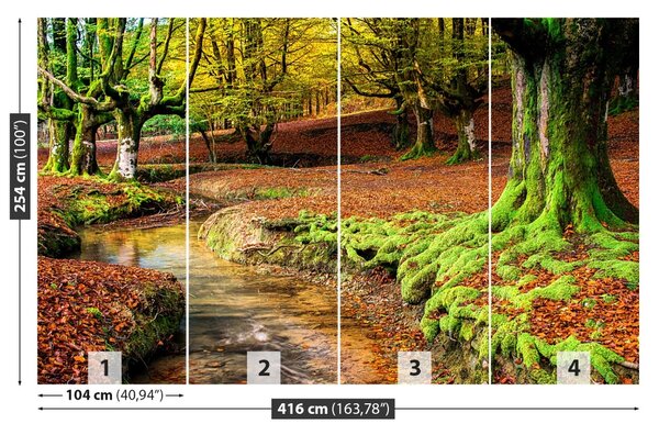 Fototapet Pădure toamna