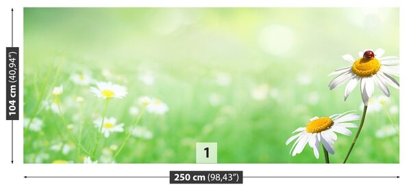 Fototapet Green muşeţel