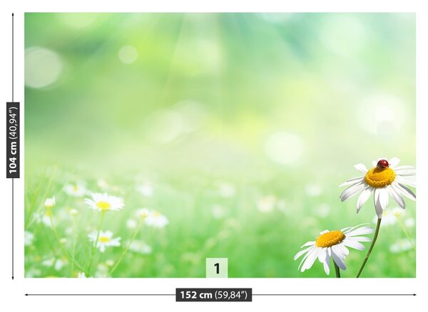 Fototapet Green muşeţel