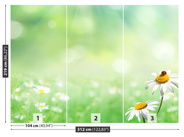 Fototapet Green muşeţel