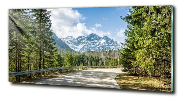 Tablou sticlă Road Tatry