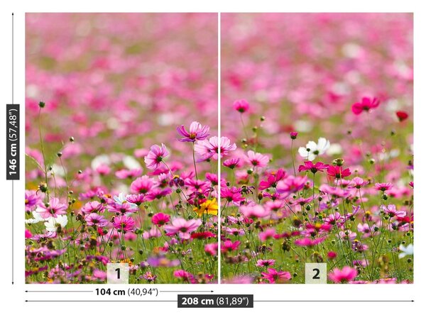 Fototapet Cosmos Flori