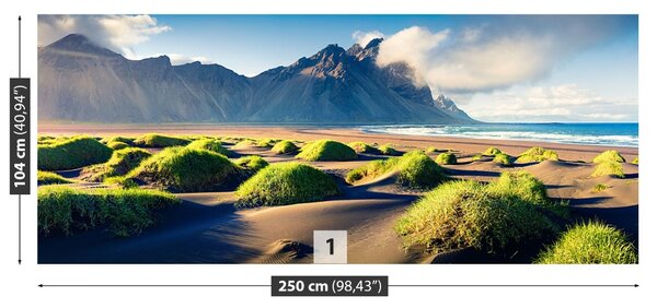 Fototapet Dunes