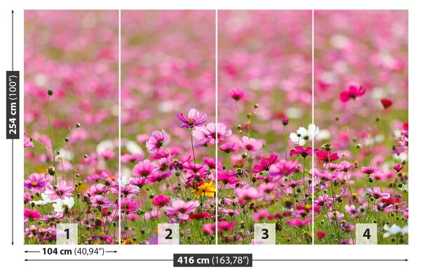 Fototapet Cosmos Flori