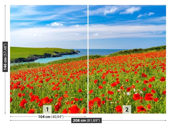 Fototapet Domeniu de Maci