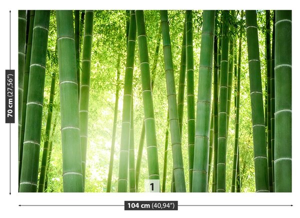 Fototapet Pădure de bambus
