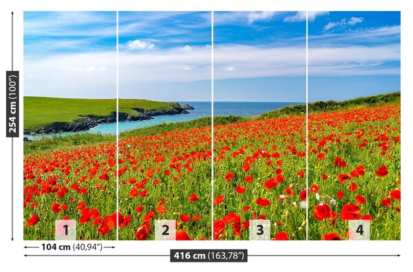 Fototapet Domeniu de Maci