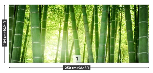 Fototapet Pădure de bambus