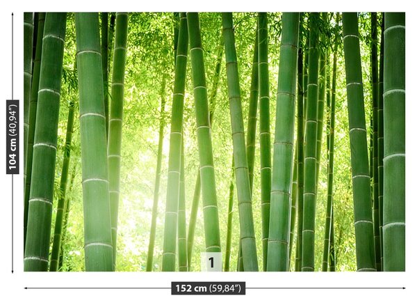 Fototapet Pădure de bambus