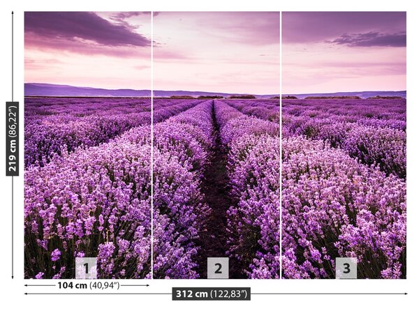 Fototapet Blooming Lavandă