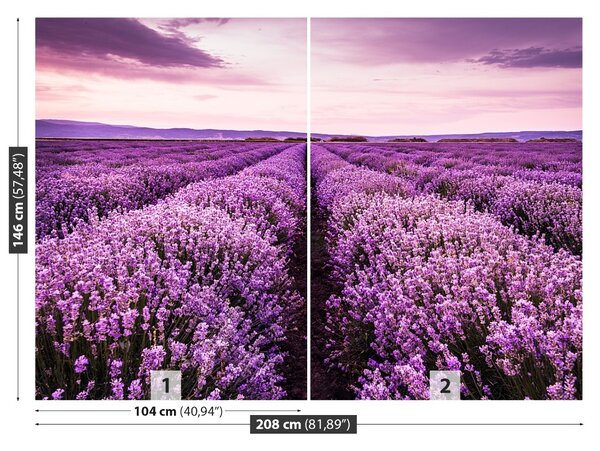Fototapet Blooming Lavandă