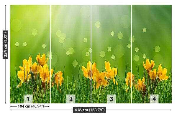 Fototapet Crocuses de Paști