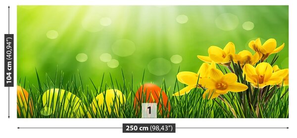 Fototapet Crocuses de Paști