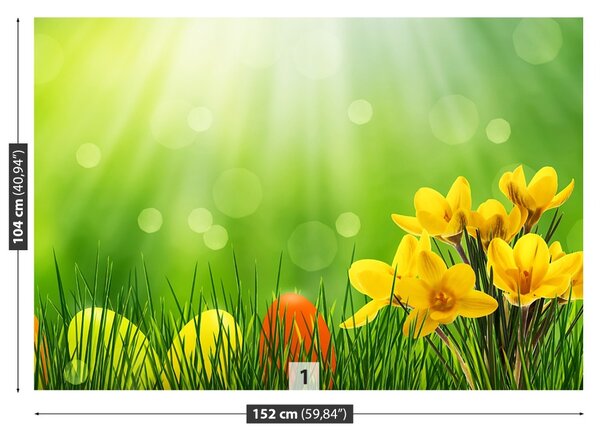 Fototapet Crocuses de Paști