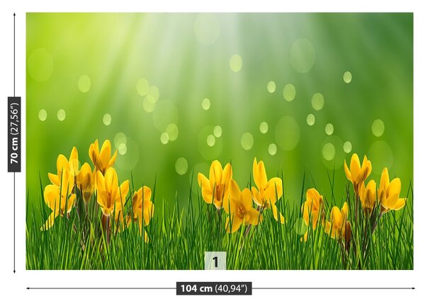 Fototapet Crocuses de Paști