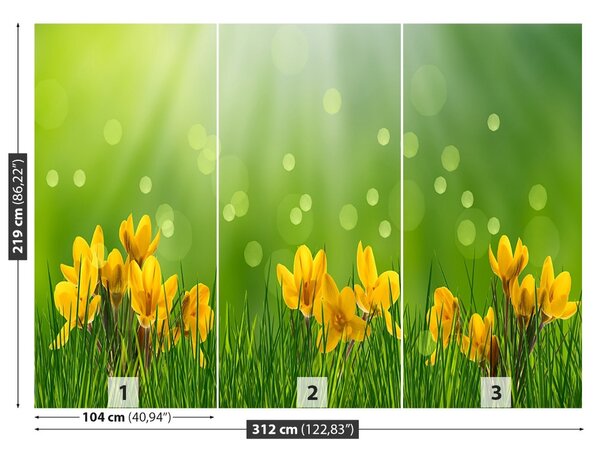 Fototapet Crocuses de Paști