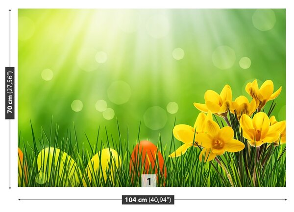 Fototapet Crocuses de Paști
