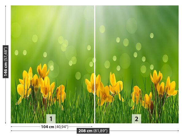 Fototapet Crocuses de Paști