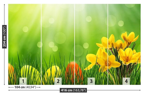 Fototapet Crocuses de Paști