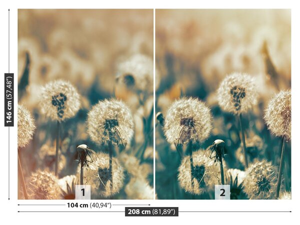 Fototapet Păpădie Meadow