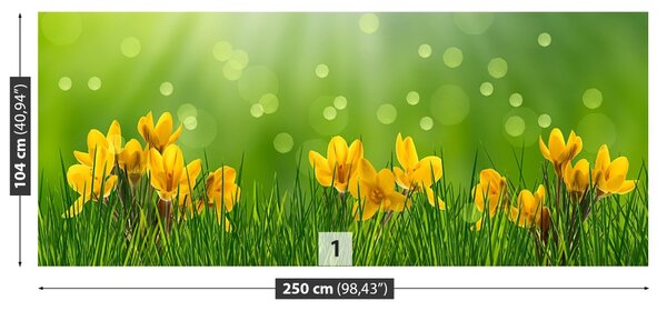 Fototapet Crocuses de Paști