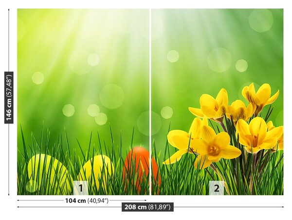 Fototapet Crocuses de Paști
