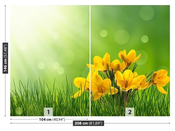 Fototapet Crocuses Green