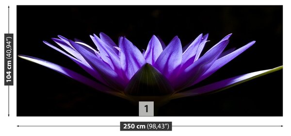 Fototapet Purple Lotus