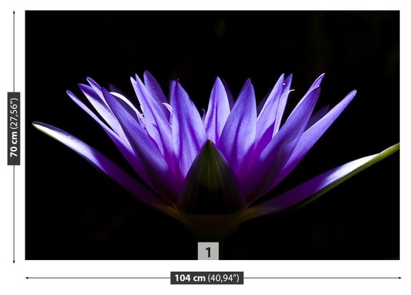 Fototapet Purple Lotus