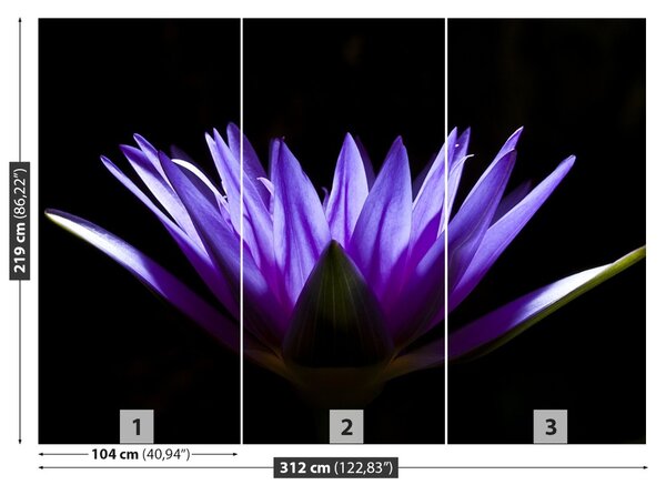 Fototapet Purple Lotus