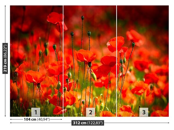 Fototapet maci Meadow