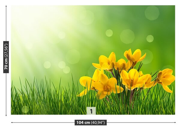 Fototapet Crocuses Green