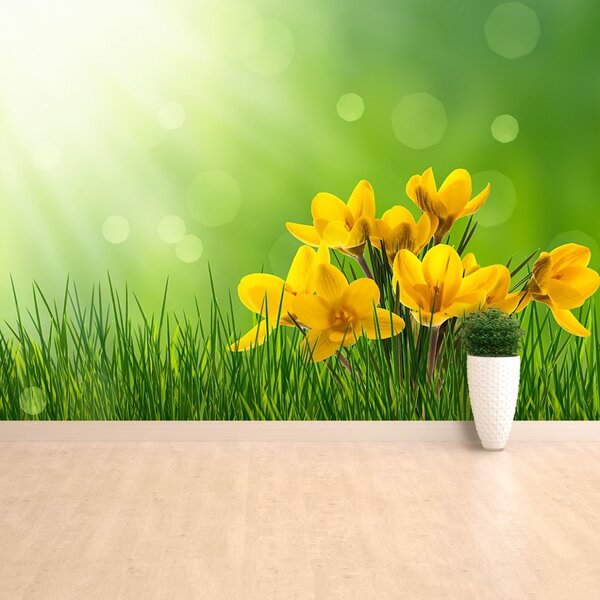 Fototapet Crocuses Green