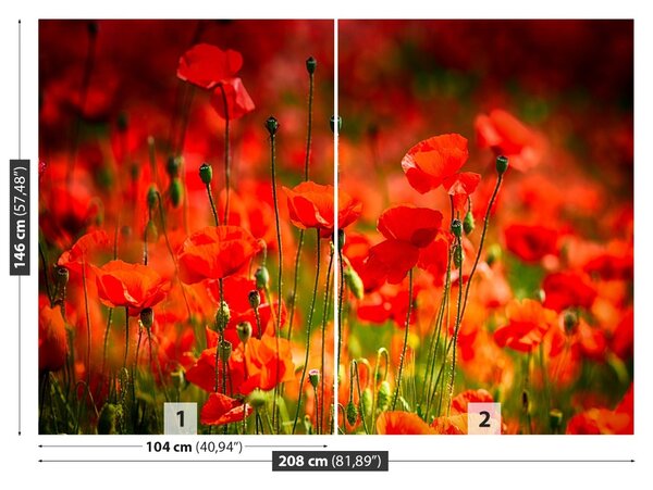 Fototapet maci Meadow