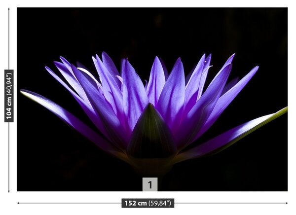 Fototapet Purple Lotus