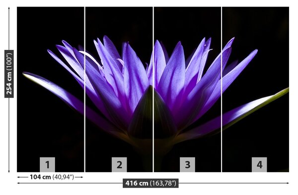 Fototapet Purple Lotus