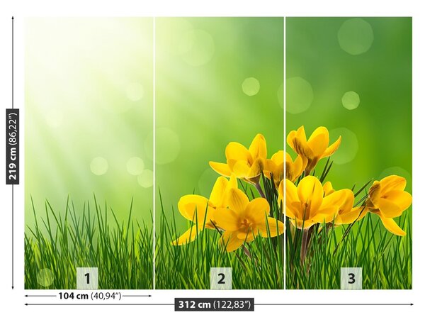 Fototapet Crocuses Green