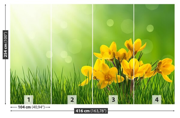 Fototapet Crocuses Green
